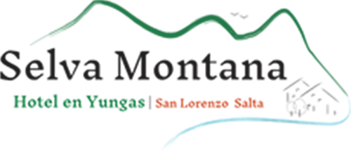 Turisteando | Inmobiliaria Hotel Selva Montana